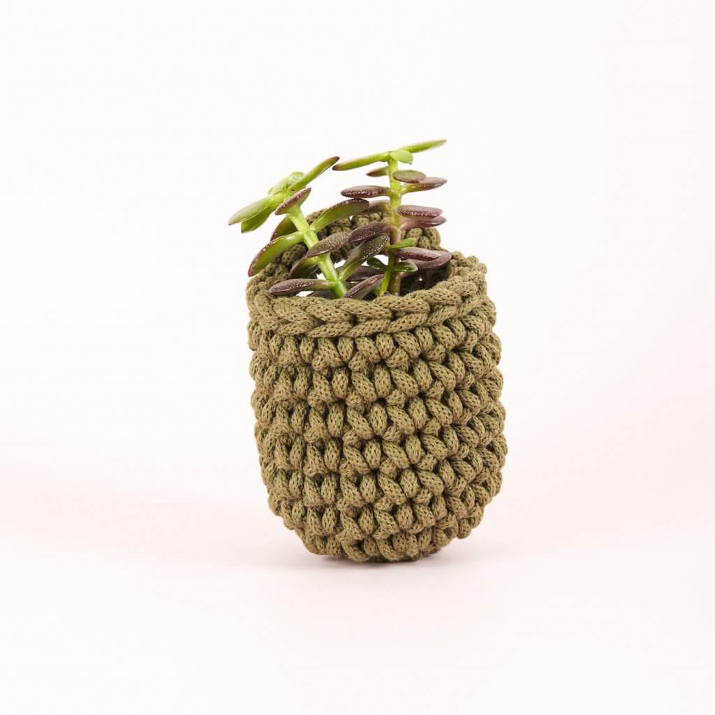 Easy Peasy Crochet Pot Avocado