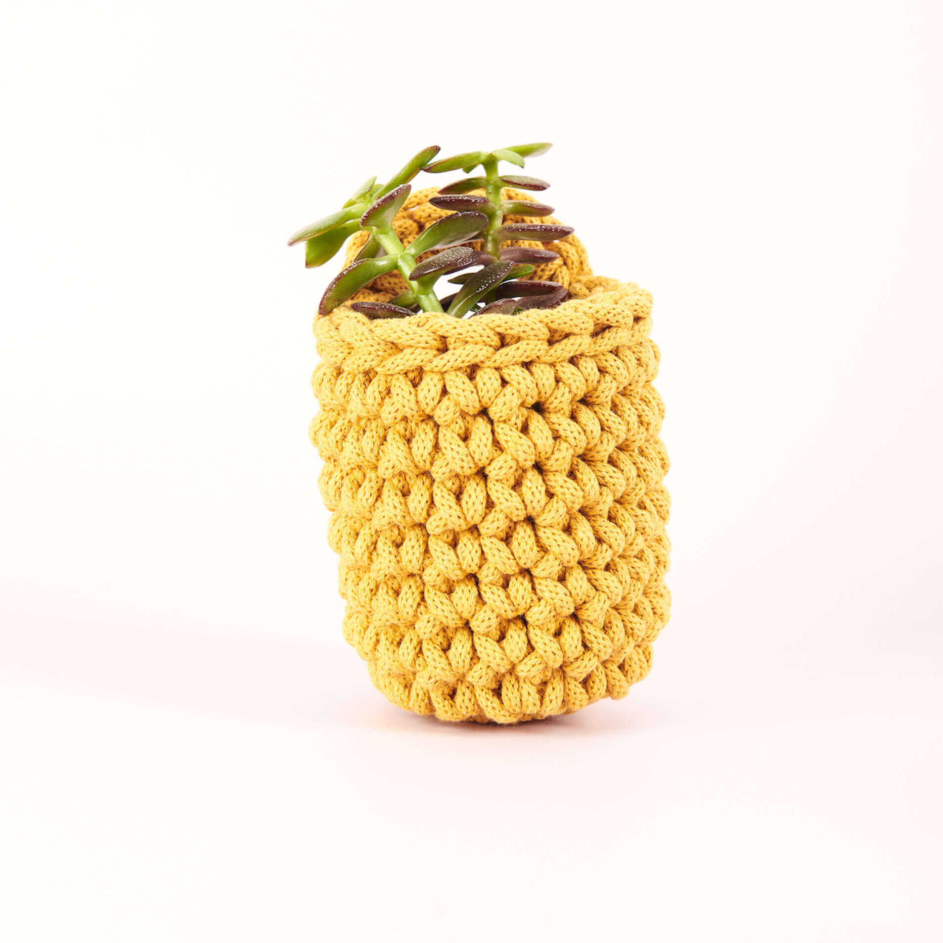 Easy Peasy Crochet Pot Kit Mustard